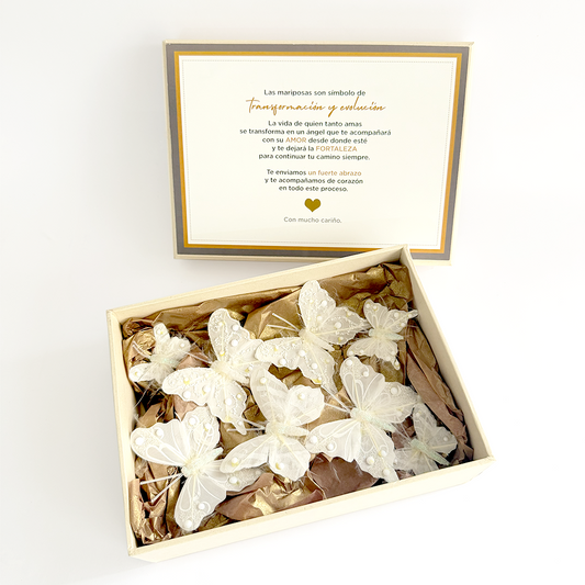 Mariposas "Transfromación"